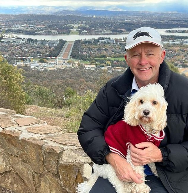 Toto is often pictured with the Prime Minister and became a celebrity in his own right during the intense campaign period leading up to the 2022 elections