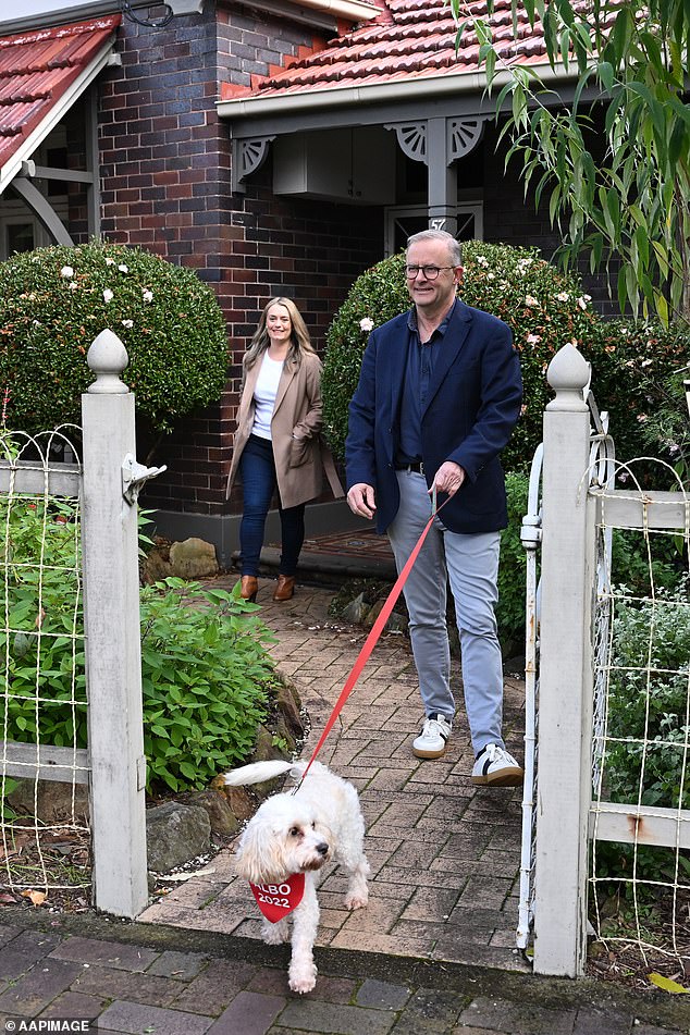 The pooch splits her time between her owner's homes at Kirribilli House in Sydney and The Lodge in Canberra when Parliament is in session (Photo: Toto, Mr Albanese and his partner Jodie Haydon)