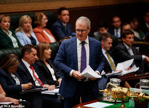 NSW Attorney-General Michael Daley (pictured) said the NSW government is taking youth crime 