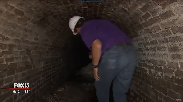 History professor and researcher Dr.  Gary Mormino described the tunnels to DailyMail.com as 'nothing special to look at', flat at the bottom and wide, making them unsuitable as a sewage system, and all the more interesting to those wondering why they exist