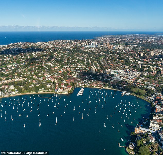 Sydney's Double Bay (pictured) has become a mecca for car enthusiasts who want to see luxury cars in person