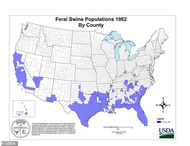 In 1982, feral pig populations were primarily located in Florida, Texas, and parts of California