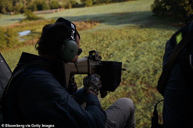 A hunter on a HeliBacon helicopter hunt for hogs near Bryan, Texas, on October 6, 2023