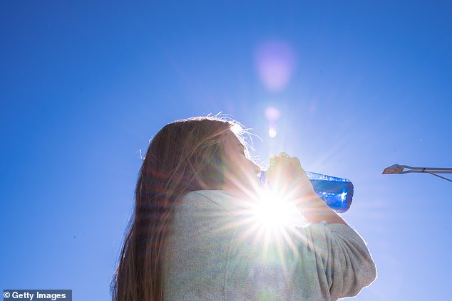 In extreme cases, we can suffer from heatstroke, which can lead to organ failure and be fatal.  (Stock Image)