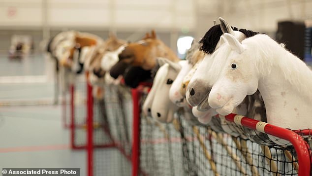 Dozens of hobby horses ready to be ridden at a Hobby Horse Championship in Finland (archive photo from 2019)