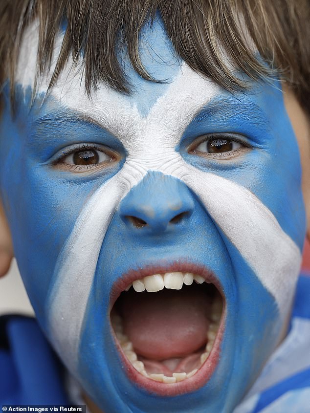 This young fan is cheering his team against Germany, Switzerland and Hungary