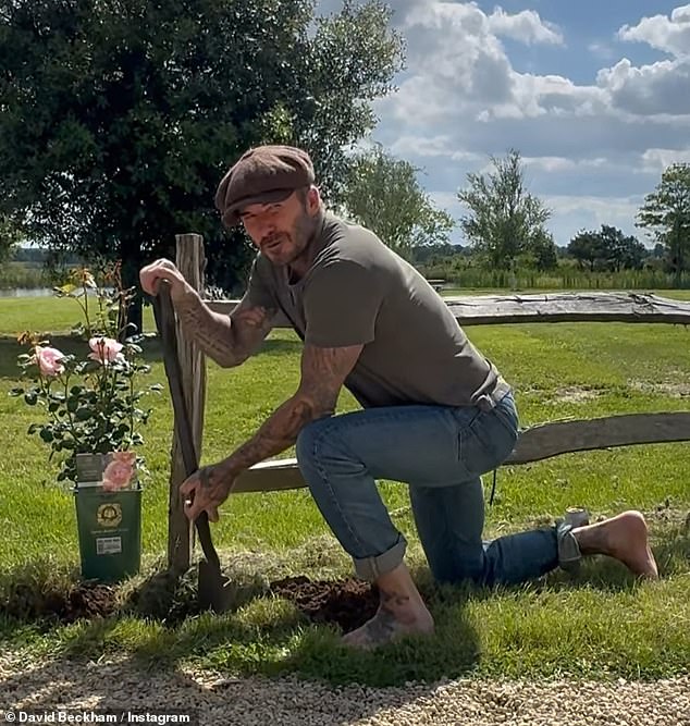 The former footballer, 49, took to Instagram this weekend to share his new foray into gardening – and got some advice from fans