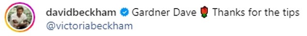 On Saturday, David shared a video of himself planting a Queen of Sweden rose bush as his wife Victoria, 50, gave him words of encouragement.