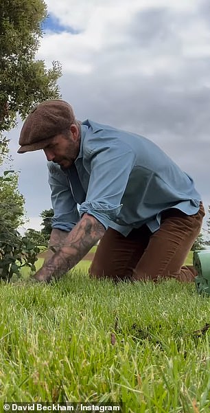 This prompted him to share another video the next day in which he planted a second rose bush and thanked supporters for their tips