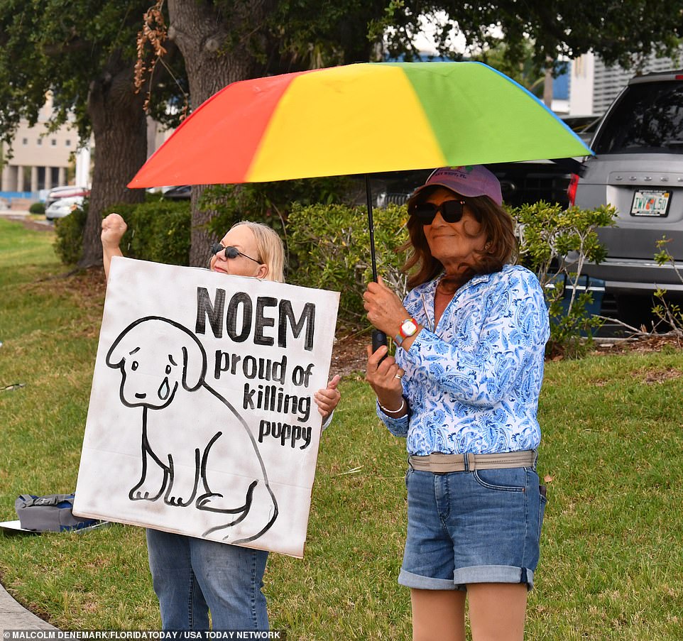 It appears Noem was referring to reports of a nine-year-old boy killed by a pack of wild dogs on the Cheyenne River Reservation in May.  Noem was widely considered to be at the top of the list of potential running mates for former President Donald Trump until her book was released, sparking a wave of criticism from dog owners around the world.