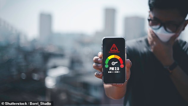 A man checks the amount of small PM2.5 pollution in the air on his cell phone, a precaution many Californians are now taking