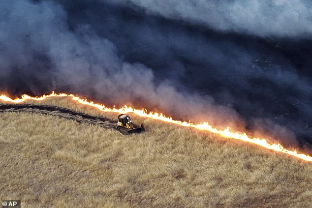 Small smoke particles that come from forest fires and can penetrate deep into people's airways.