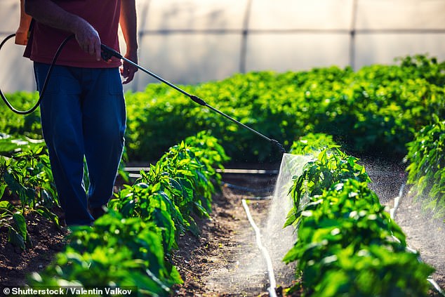 Pesticide use is one of five factors likely contributing to the increase in cancer cases in Iowa, officials say.