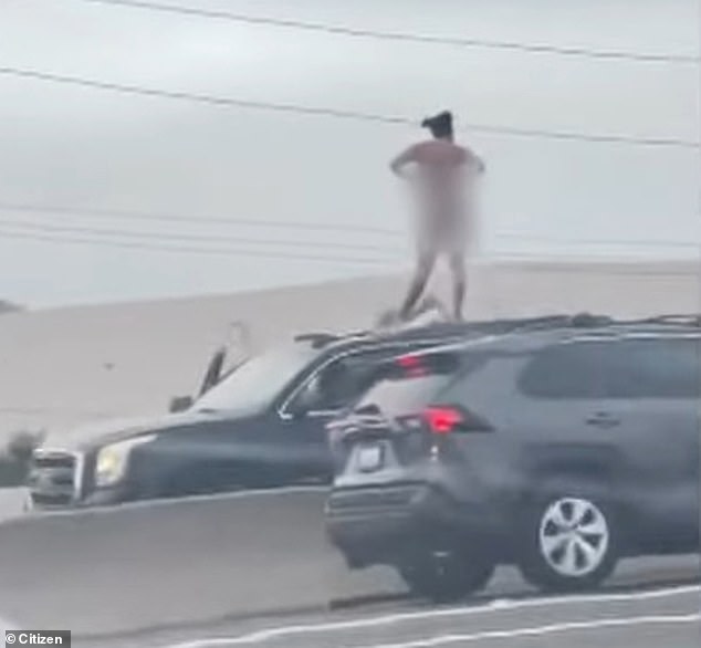 The slow chase on I-405 near Culver City ended when the black SUV stopped and the woman climbed out through the sunroof.