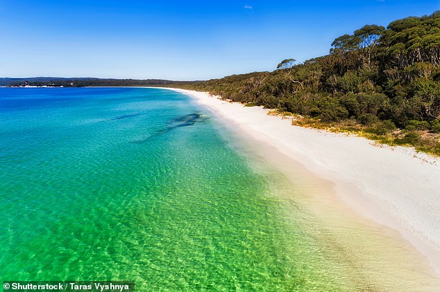 They have also been found in other parts of NSW including Newcastle, Bathurst, Wagga Wagga and Jervis Bay (pictured) – the latter only last October