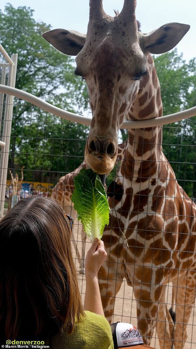 Maren was dressed in a loose-fitting green ribbed sweater and matching pants for the trip to the zoo, along with chunky black sandals.