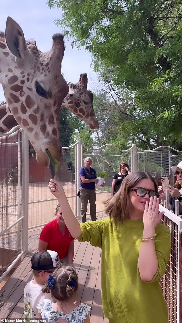 The country singer flinched as the giraffe's dark tongue shot out of its mouth to grab the lettuce, but after the initial shock she turned around to grab more lettuce.