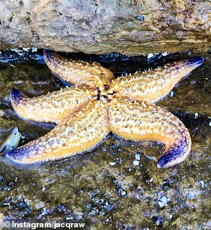 Exploring Rockpool is never boring.