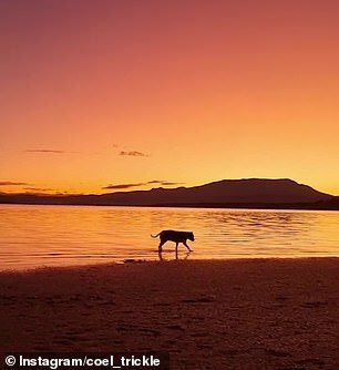 Dreamy sunsets with best friends.