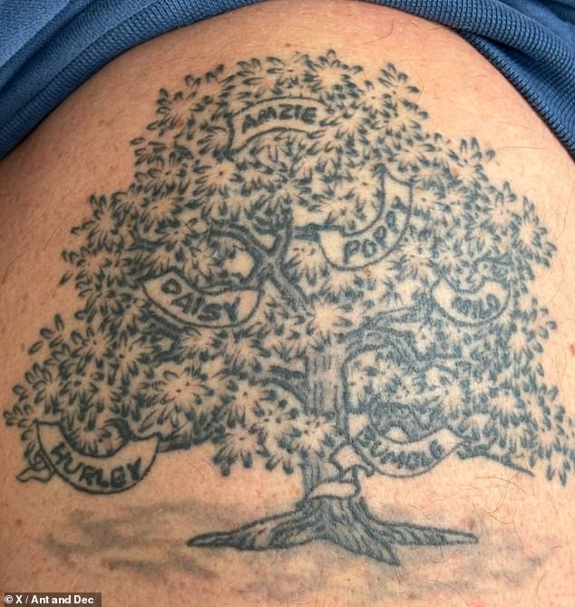 Ant then shared a photo showing the full tattoo on his shoulder, with Hurley's name visible on the tree design