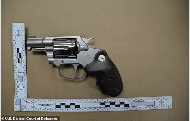 Hunter Biden was found guilty of three counts of lying about his crack cocaine addiction when he bought this gun