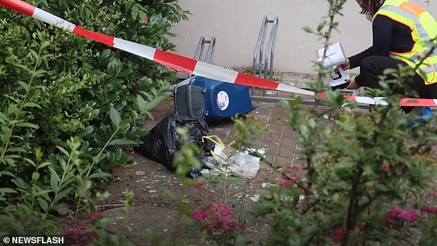 Photos from the scene show the cat's basket lying among a bicycle rack and overturned garbage bags, which witnesses say were thrown from a third-floor window next to a phone and bottles before the girl was found.