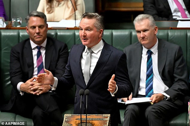 Mr Bowen, the Minister for Climate Change and Energy, is pictured at Question Time in May