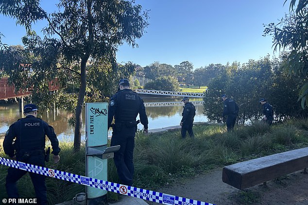 Police were alerted to the stunning scene more than two weeks ago after a dog walker came across a placenta and umbilical cord next to the Cooks River in Earlwood