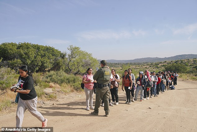 US Border Patrol intervenes with illegal migrants crossing the border into Jacumba Hot Springs, days after US President Joe Biden announced a decree on June 10, 2024 to change migration policies at the border in California, United States