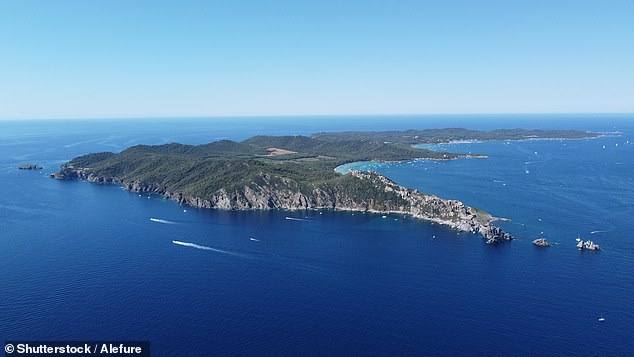 Porquerolles has 'one of the best beaches in Europe' - and is car-free