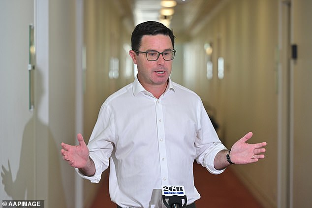 Nationals leader David Littleproud (pictured) also spoke about nuclear power stations on Wednesday, saying many of them would be housed in National Party seats.