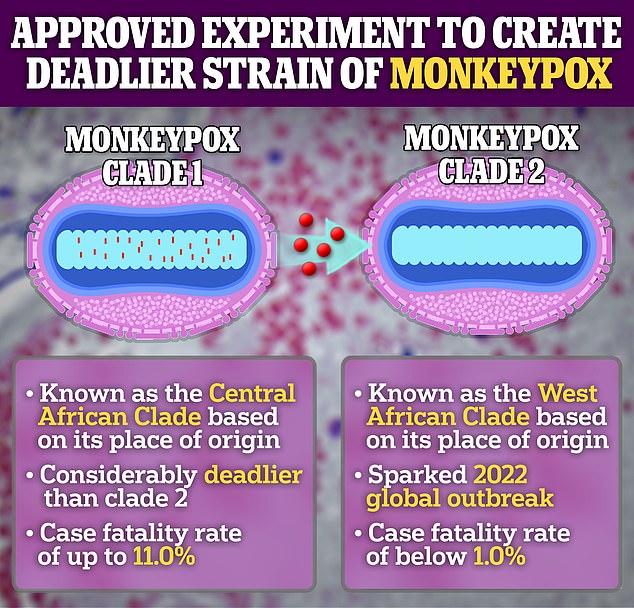 In October 2022, Dr. Bernard Moss revealed that a team of scientists wanted to equip Clade II Mpox with genes from the more dangerous Clade I strain.