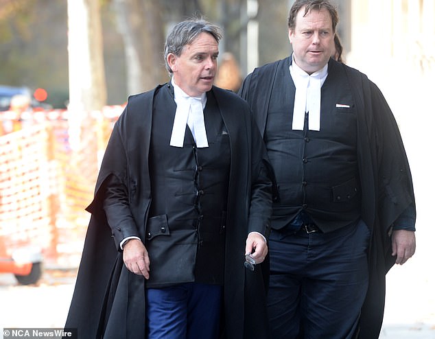 Lynn's lawyer Dermot Dann, KC (left) attacked the prosecution case on Wednesday