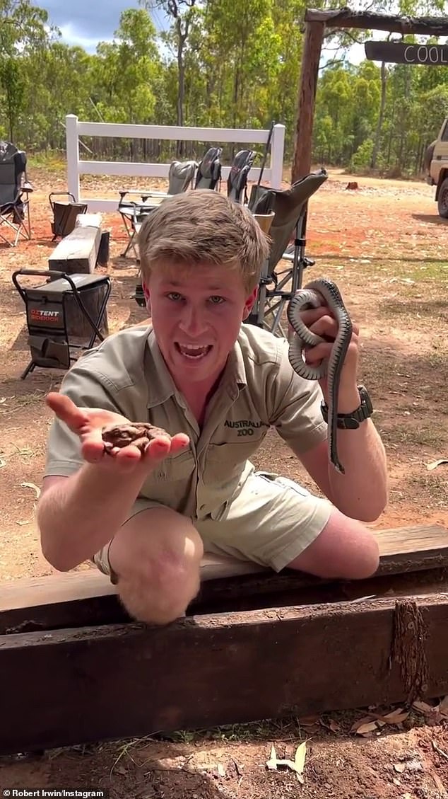 Steve's family has continued his mission to promote and protect wildlife through Australia Zoo