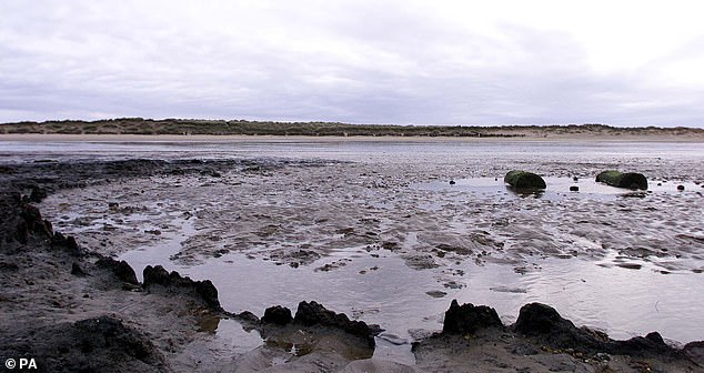 Seahenge's construction aligns with the sun at the summer solstice, suggesting it may have had a ritual purpose