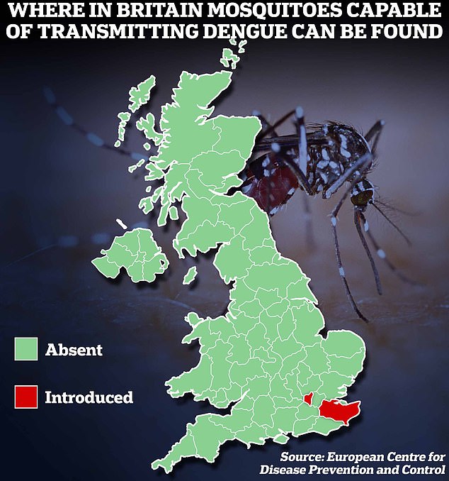 This map shows areas where mosquitoes that can transmit dengue have been introduced into Britain.  These populations have not yet established a permanent presence in Britain, but experts have warned that climate change means their spread is inevitable