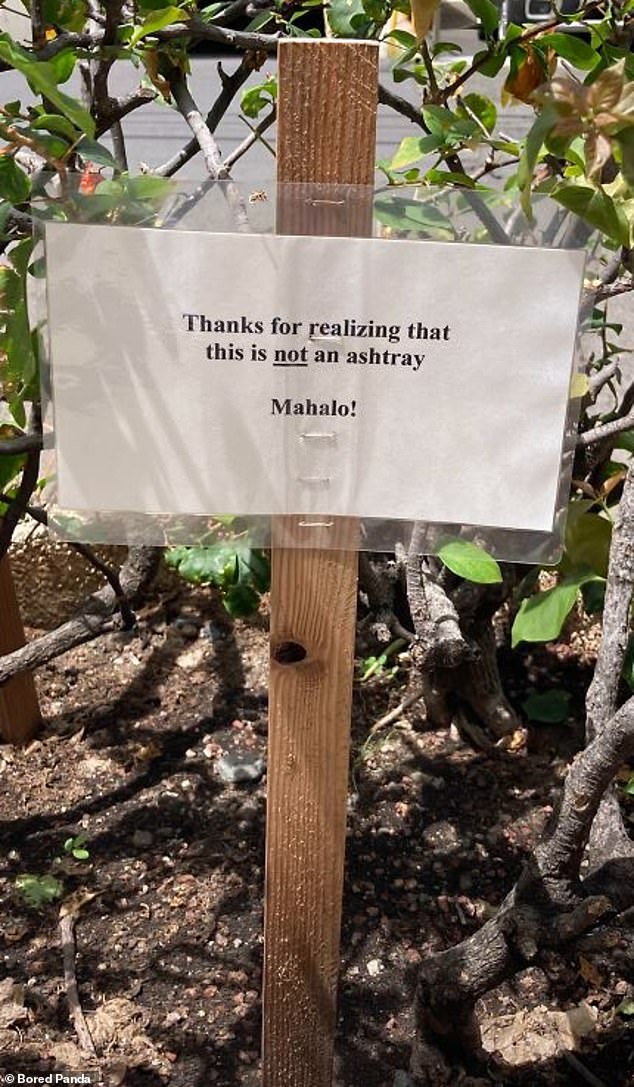 The writer of this board, which is thought to have been spotted in Hawaii, went with classic sarcasm and suggested that a number of people have actually used this potted plant as an ashtray.
