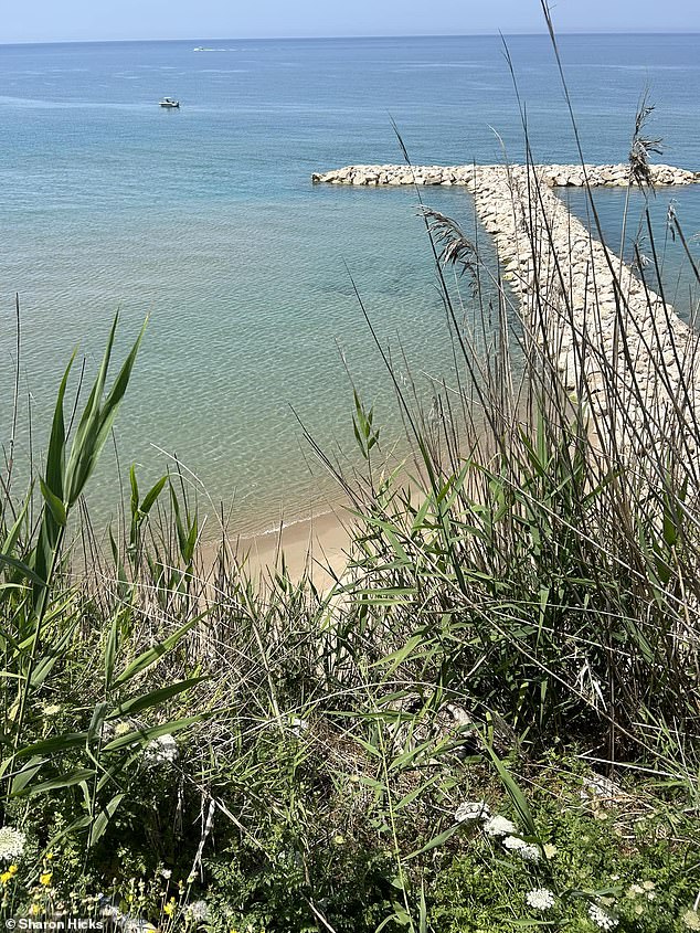 He jumped a fence to take a shortcut to the sand, but realized too late that the fence guarded this steep slope - and fell off the edge.