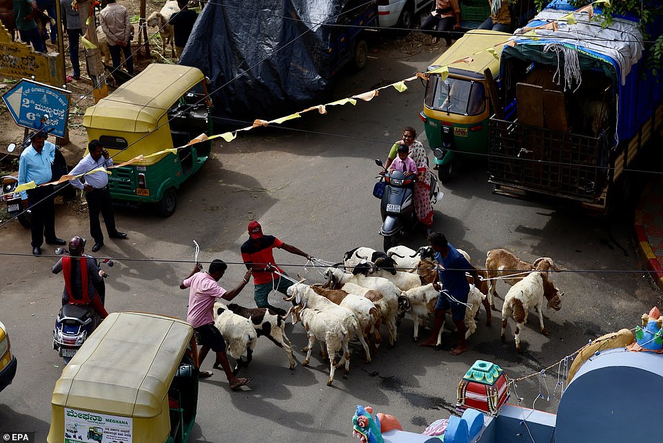 A general view of a livestock market prior to Eid al-Adha in Bangalore, India