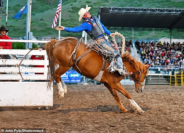 Spencer Wright's (pictured) family is among the most prominent in rodeo history, ranking him 35th in the world