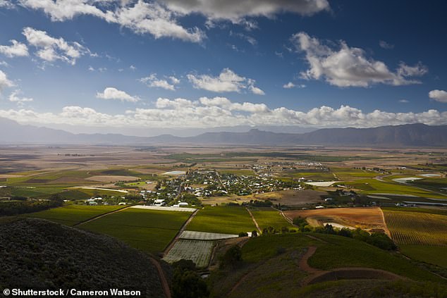 Simply divine: the city is located deep in the wine region, 80 kilometers northeast of Cape Town