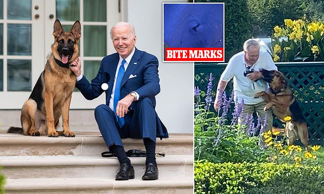 1718367807 17 Biden meets Pope at the G7 as Trump celebrates his