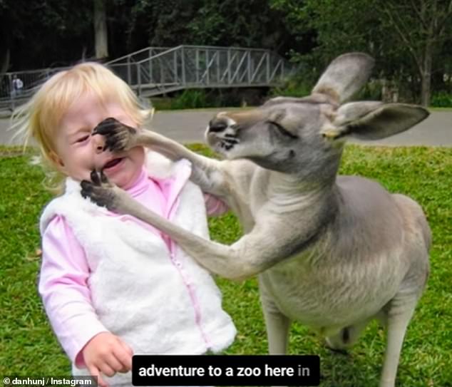 The former reality TV star posted to Instagram a shocking photo of his young toddler, who is now 18, being punched in the face by the marsupial.