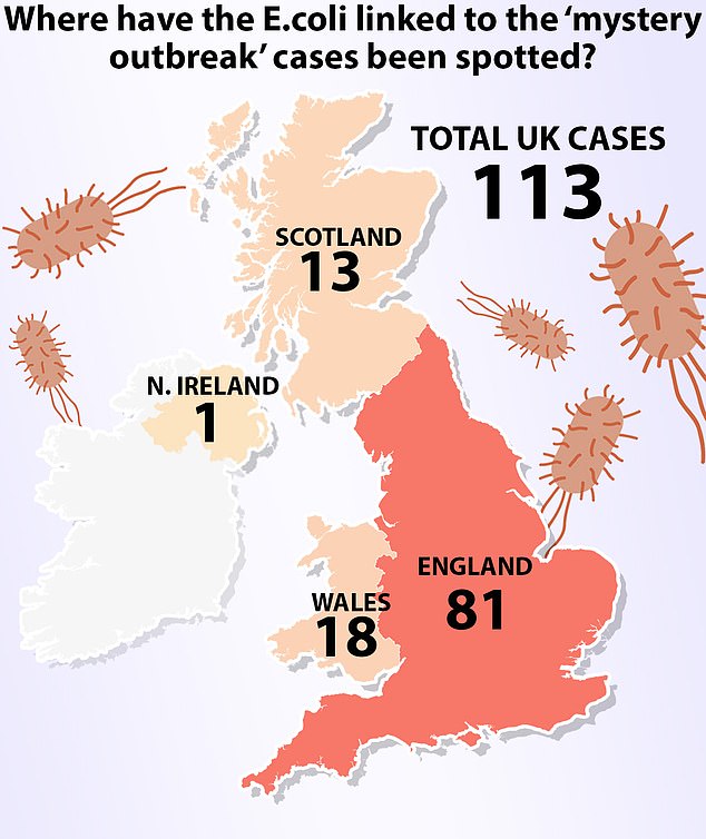 The 113 confirmed cases of E.coli are spread across Britain, leading officials to believe the disease was caused by a nationally distributed food product
