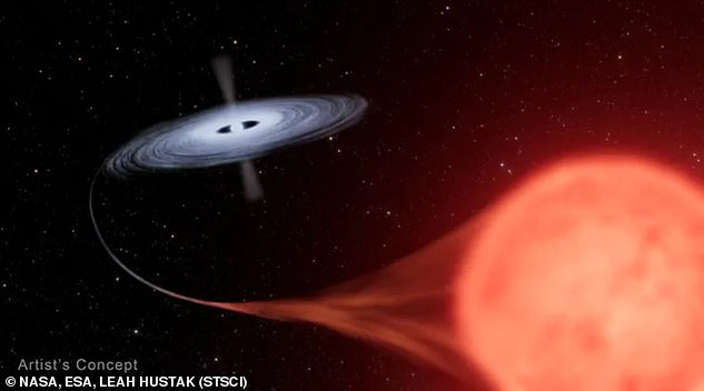 As this artist's impression illustrates, the white dwarf is pulling matter away from its red giant neighbor.  This builds up until it causes a nuclear explosion so bright we can see it from Earth