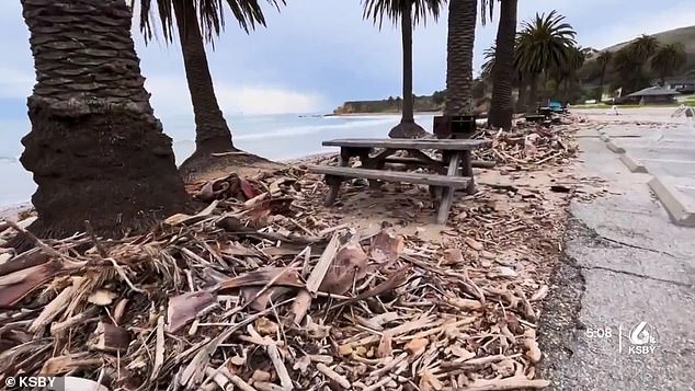 Trees were toppled and debris was spread across the beach by the weather front