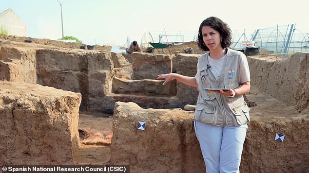Spain's National Research Council (CSIC) made the 20cm-long slate public last week - after it was discovered at Casas del Turuñuelo, an anthropological excavation site (pictured) believed to have been a refuge or temple for a wealthy Paleo-Hispanic culture known as Tartessos