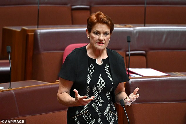 Ms Hanson's (pictured) party chief of staff James Ashby told Daily Mail Australia they would oppose the move and not remove the cartoon.