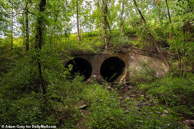 The body of the 37-year-old mother of five was discovered naked on the popular hiking trail and smashed into a tunnel along a popular hiking trail in Bel Air, Maryland