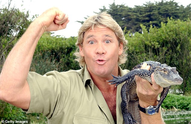 Steve Irwin (pictured in 2002), known to millions around the world as 'the Crocodile Hunter', died on September 4, 2006 at the age of 44 after being pierced in the chest by a stingray